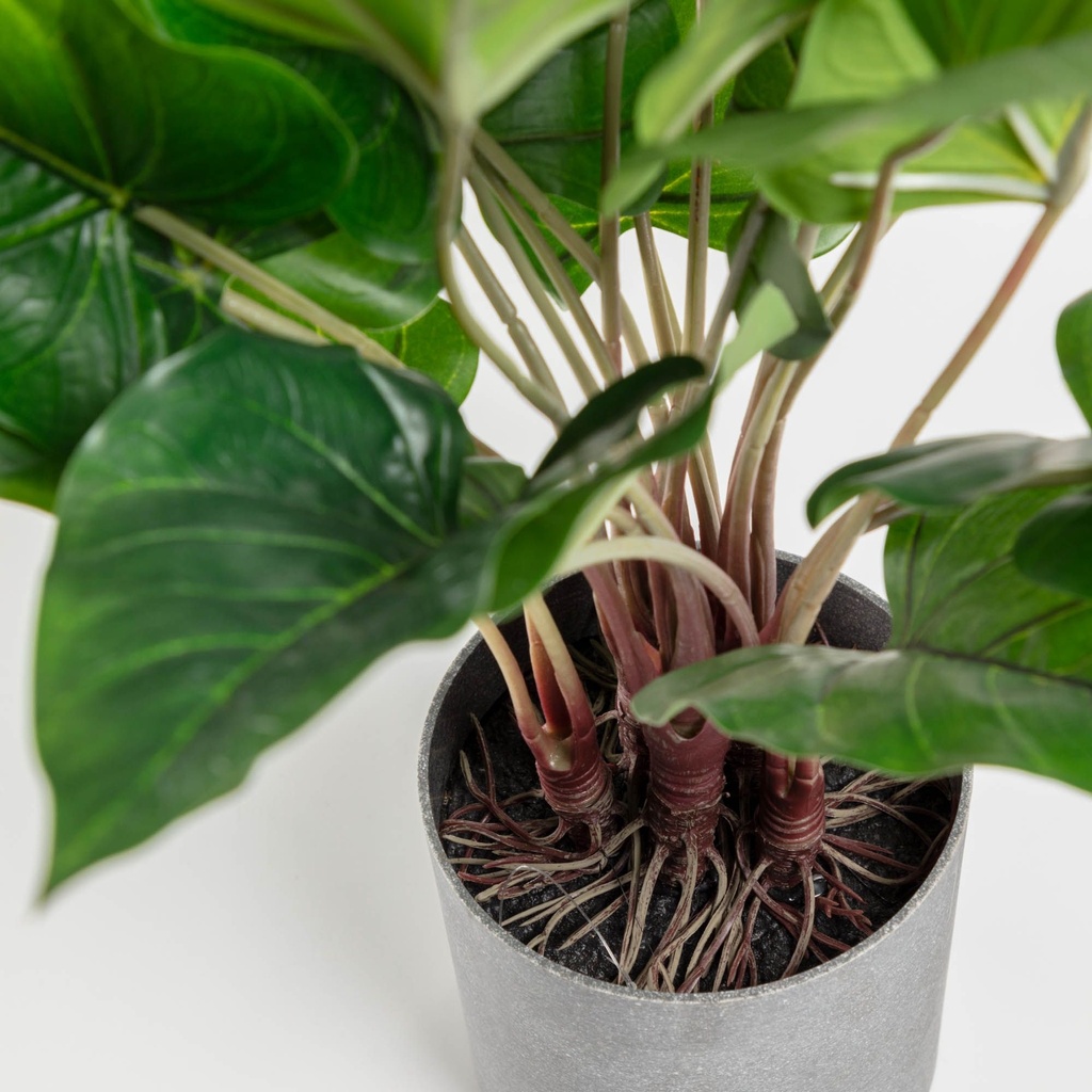 Anthurium planta artificial  de 50 cm con maceta de cemento