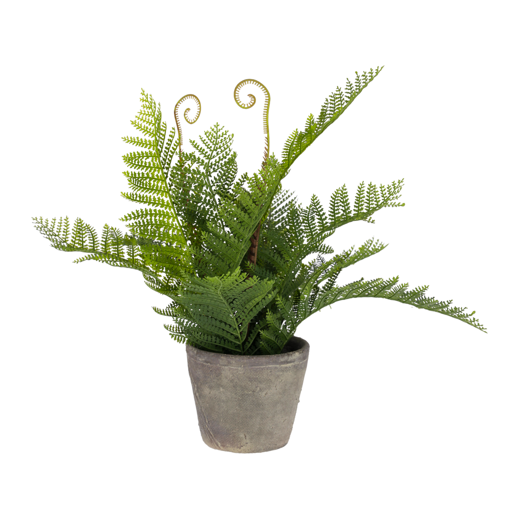 Fillcopsida planta artificial de 35 cm. // Outlet