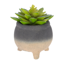 Sedum lucidum planta artificial // Outlet