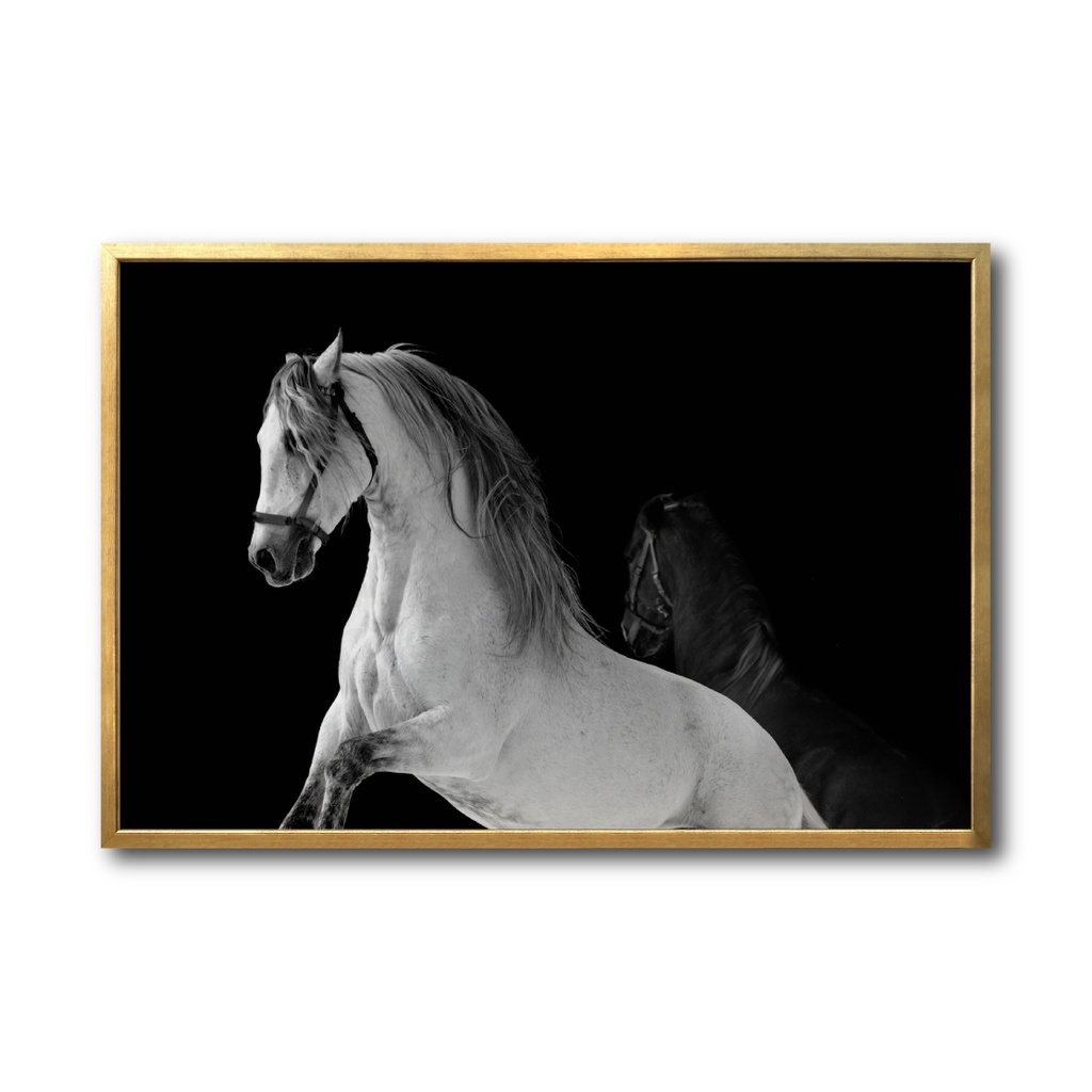 Caballo blanco cuadro decorativo codigo-002-GD // MP