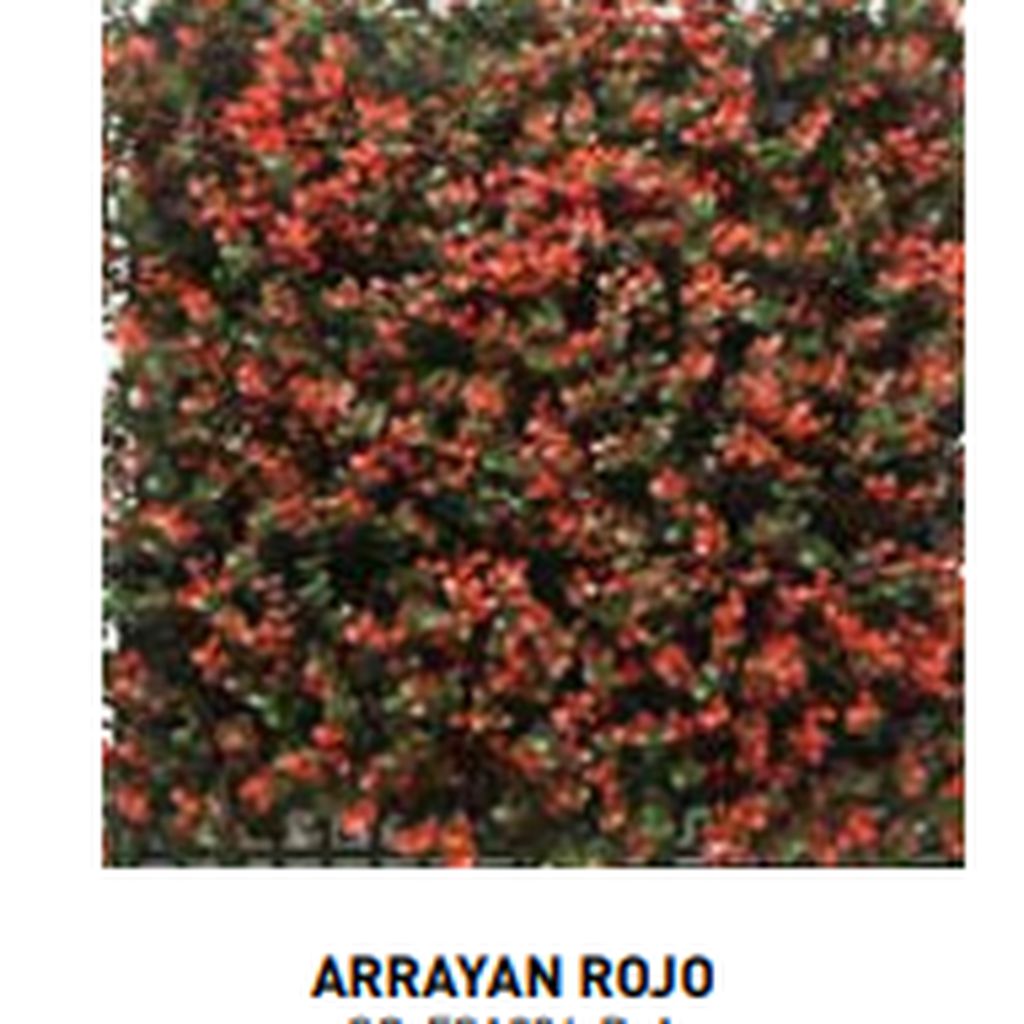 Sintetico follaje arrayan rojo // MP