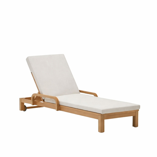 [J1300020JJ12] Sonsaura camastro